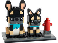 Ranskanbulldoggit