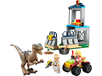 Velociraptorin pako