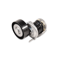 FEBI BILSTEIN Sträckare,  flerspårsremrem MERCEDES-BENZ 05072 6012001373, 6012001773, A6012001373 A6012001773