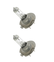 HELLA Glödlampor VW, AUDI, MERCEDES-BENZ 8GH 007 157-454 Glödlampa,  huvudstrålkastare