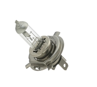 HELLA Glödlampor VW, AUDI, MERCEDES-BENZ 8GJ 223 498-221 Glödlampa,  huvudstrålkastare