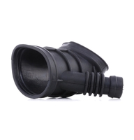 RIDEX Insug,  luftfilter BMW 1591I0002 13541435627, 13541437191