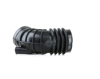 RIDEX Insug,  luftfilter BMW 1591I0030 13711708800