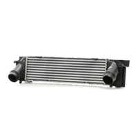 RIDEX Intercooler BMW 468I0085 17517600530, 7600530 Laddluftkylare