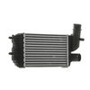 RIDEX Intercooler FIAT, PEUGEOT, CITROËN 468I0163 0384E4, 0384G8, E256097 Laddluftkylare 1307012080, 1340934080, 1307012080, 1340934080, 0384E4, 0384G8, E256097