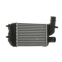 RIDEX Intercooler FIAT, PEUGEOT, CITROËN 468I0163 0384E4, 0384G8, E256097 Laddluftkylare 1307012080, 1340934080, 1307012080, 1340934080, 0384E4, 0384G8, E256097