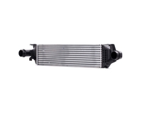 RIDEX Intercooler MERCEDES-BENZ, INFINITI 468I0146 144615DC0A, 2465000900, A2465000900 Laddluftkylare
