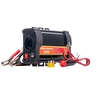 RIDEX Inverter 4318A0002