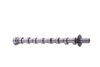 RIDEX Kamaxel FORD, FIAT, PEUGEOT 566C0017 0801AE, 1495923, 3M5Q6A273BB