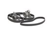 RIDEX Kamremssats HYUNDAI, KIA, MITSUBISHI 307T0044 2335642500, 2335742030, 2431542200 2431742020, 2431542200, 2431742020, MD329625