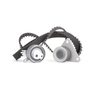 RIDEX Kamremssats RENAULT, VOLVO 307T0013 7438610040, 7701471520, 272329 Tand / styrremssats, Kamremskit, Kamrem & Kamremssats, Kuggrem & Kamremssats 274338
