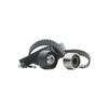 RIDEX Kamremssats VOLVO 307T0028 274247, 30731772, 30777779 Tand / styrremssats, Kamremskit, Kamrem & Kamremssats, Kuggrem & Kamremssats 31258305, 31258306