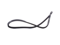 RIDEX Kilremmar VW, AUDI, BMW 10C0092 133481, 60503994, 60556707 Kilrem 027903137A, 054903137, 13H1329, GFB120, 11231709636, 11231709638, 32411270869, 4458068
