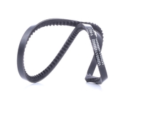 RIDEX Kilremmar VW, AUDI, MERCEDES-BENZ 10C0105 9932150726000, 7633335, 7633335 Kilrem 035013813A, 0029972792, 0029972892, A0029972792, A0029972892, 1485325600