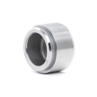 RIDEX Kolv,  bromsok AUDI, BMW, OPEL 2248P0022