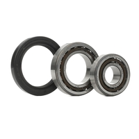 SKF Hjullagersats FORD VKBA 528 116002140800, 116002141303, 116002141306 510384, 510385, 60521282, 31211110115, 31212634104, 02667886, 9453520994535210, 184447