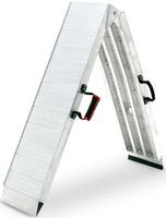 Acebikes Ramp Pro Ramp för åtkomst i aluminium,  silver
