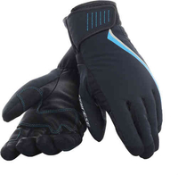 Dainese HP2 Damer skidhandskar Svart Blå L