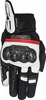 Alpinestars Rage,  gloves Drystar