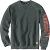 Carhartt Graphic,  sweatshirt