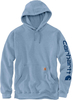 Carhartt Logo,  hoodie,  color: Dark Green (L01),  size: M