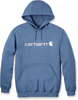 Carhartt Signature Logo,  hoody,  color: Light Green (Gf6),  size: XS