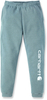 Carhartt Tapered Graphic,  jogging pants,  color: Light Blue/White,  size: XXL
