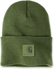 Carhartt Watch,  beanie,  color: Dark Green,  size: One Size