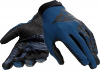 Dainese HGR,  gloves