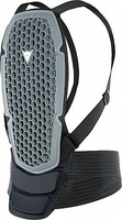Dainese Pro Armor G1,  back protector