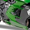 Givi Kawasaki Ninja H2 SX,  framesliders mounting kit