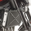 Givi Kawasaki Z 900 RS,  radiator guard