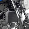Givi PR,  radiator guard