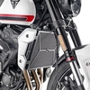 Givi Triumph Trident 660,  radiator guard