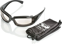 Global Vision Straycat,  sunglasses photochromatic