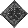 HAD Tec Paisley,  shawl