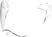 Nexx X.WED 2 /X.WED 2 Carbon/X.WST 2/X.WRL,  visor