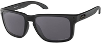Oakley Holbrook XL,  Sunglasses Prizm Polarized