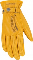 Segura Cox,  gloves