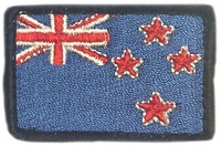 Spidi flag,  patch