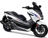 Uniracing Honda Forza 125/300,  decal kit