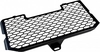 Zieger BMW F800R,  radiator guard