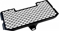 Zieger BMW F800R,  radiator guard
