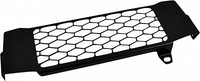 Zieger Honda CB 125R,  radiator guard