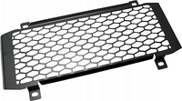 Zieger Kawasaki Z650,  radiator guard